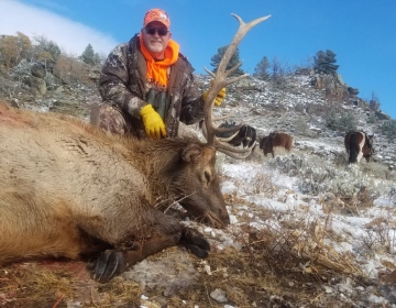 Sns Outfitters Bull Elk Wyoming 2020 4